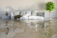 Flood Damage Restoration Bondi Beach image 4